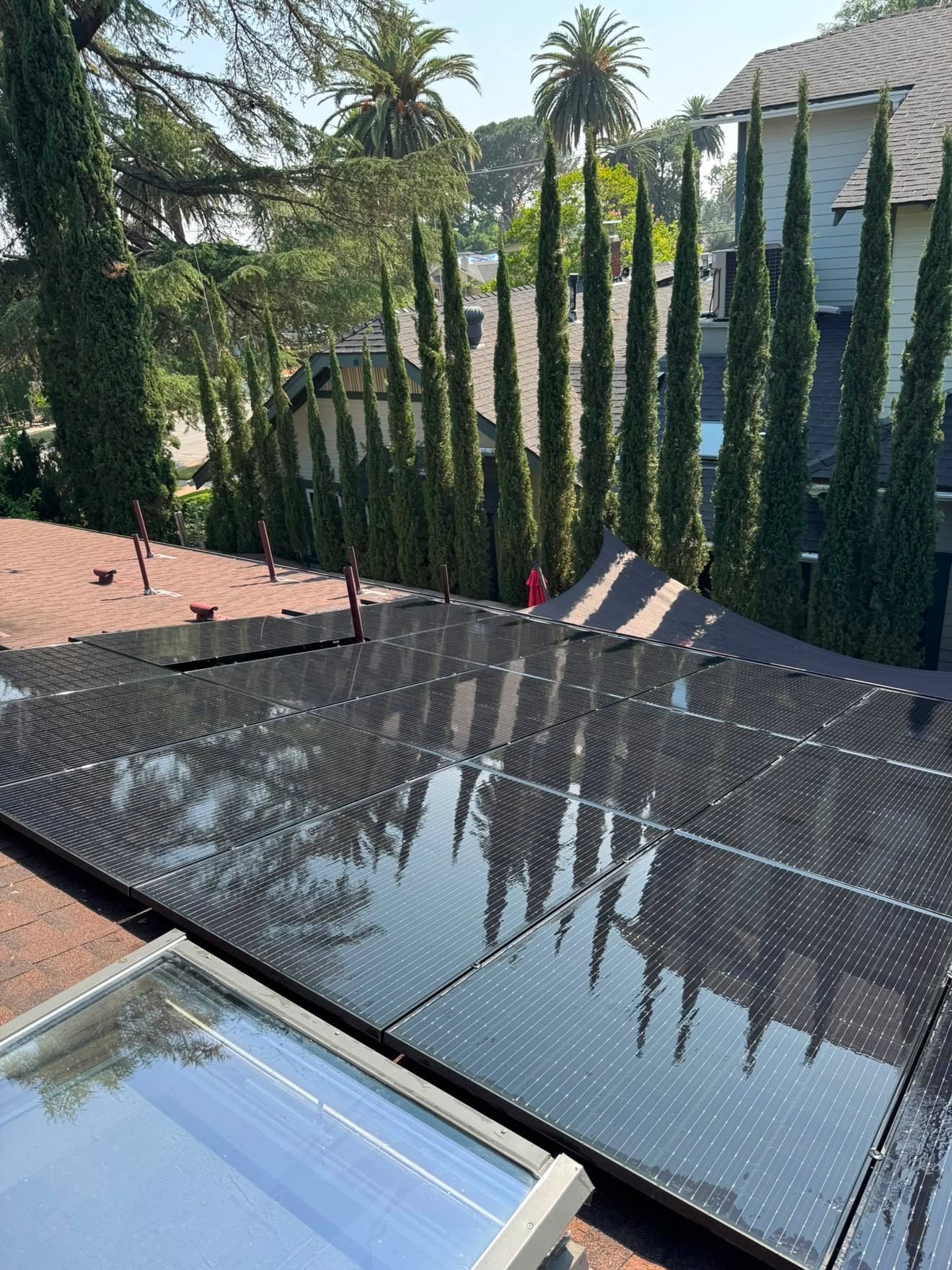 Freshly washed rooftop solar panels reflecting cypress trees