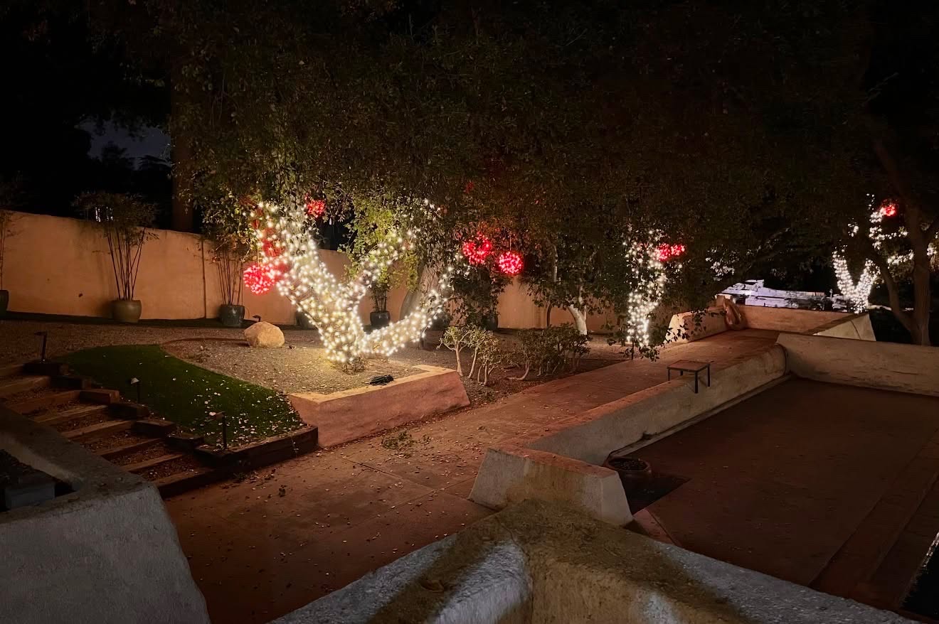 Courtyard trees wrapped in warm lights with red ornaments