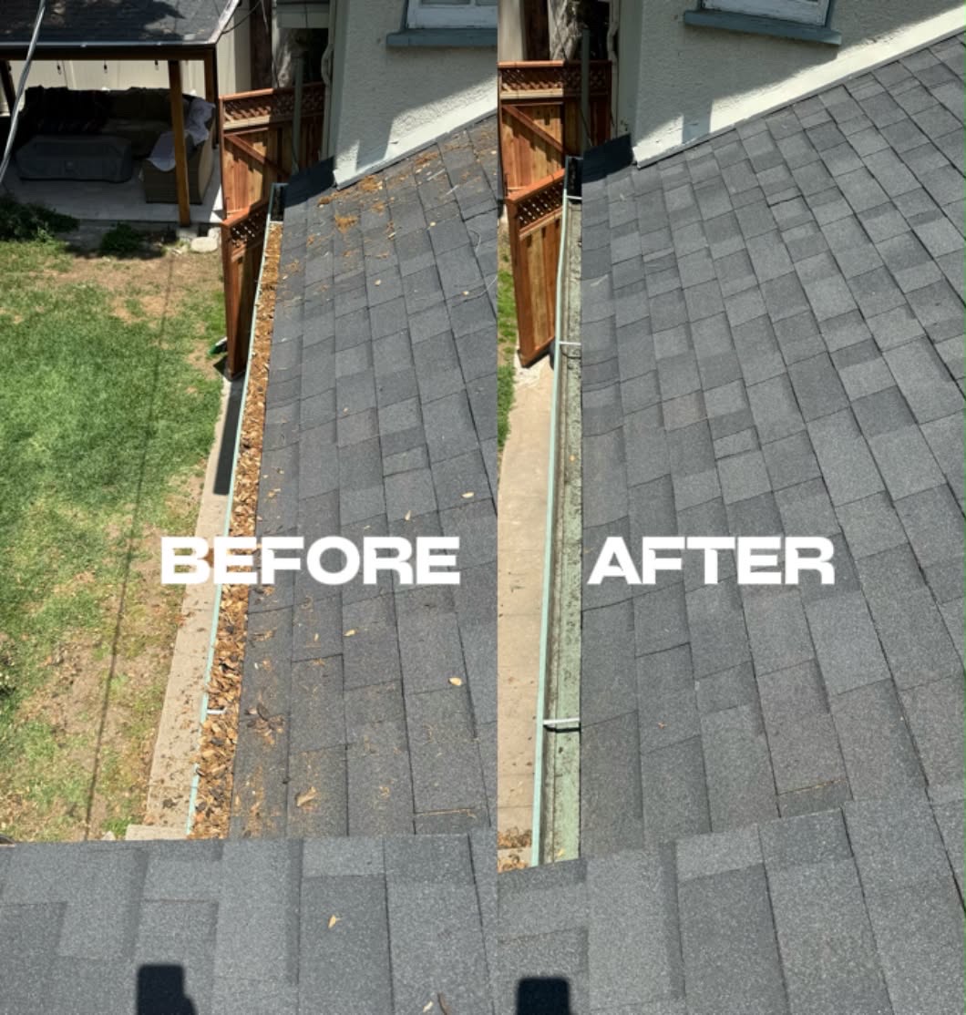 Roof gutter line cleared of leaves before and after