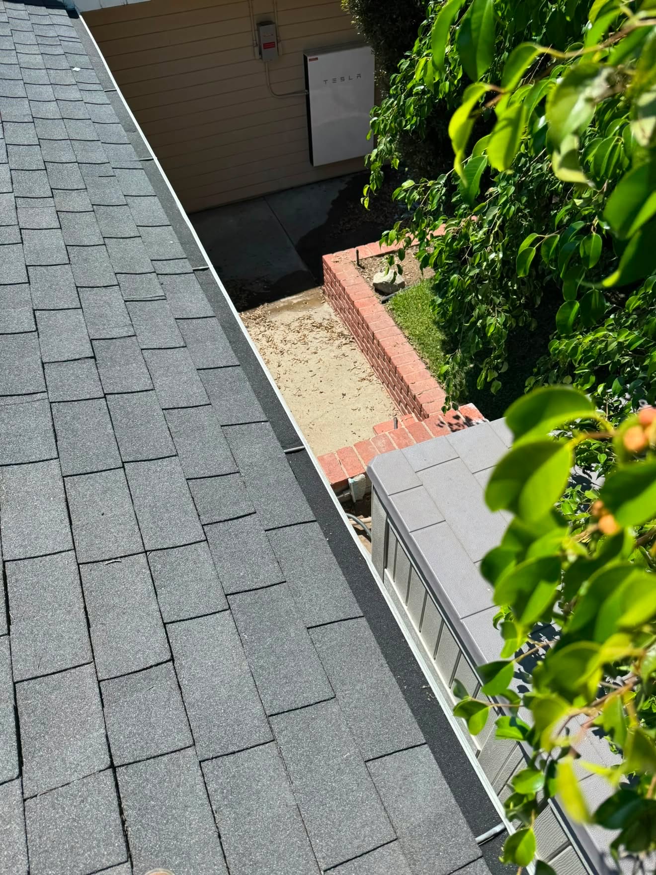 Cleared gutter line along a shingle roof