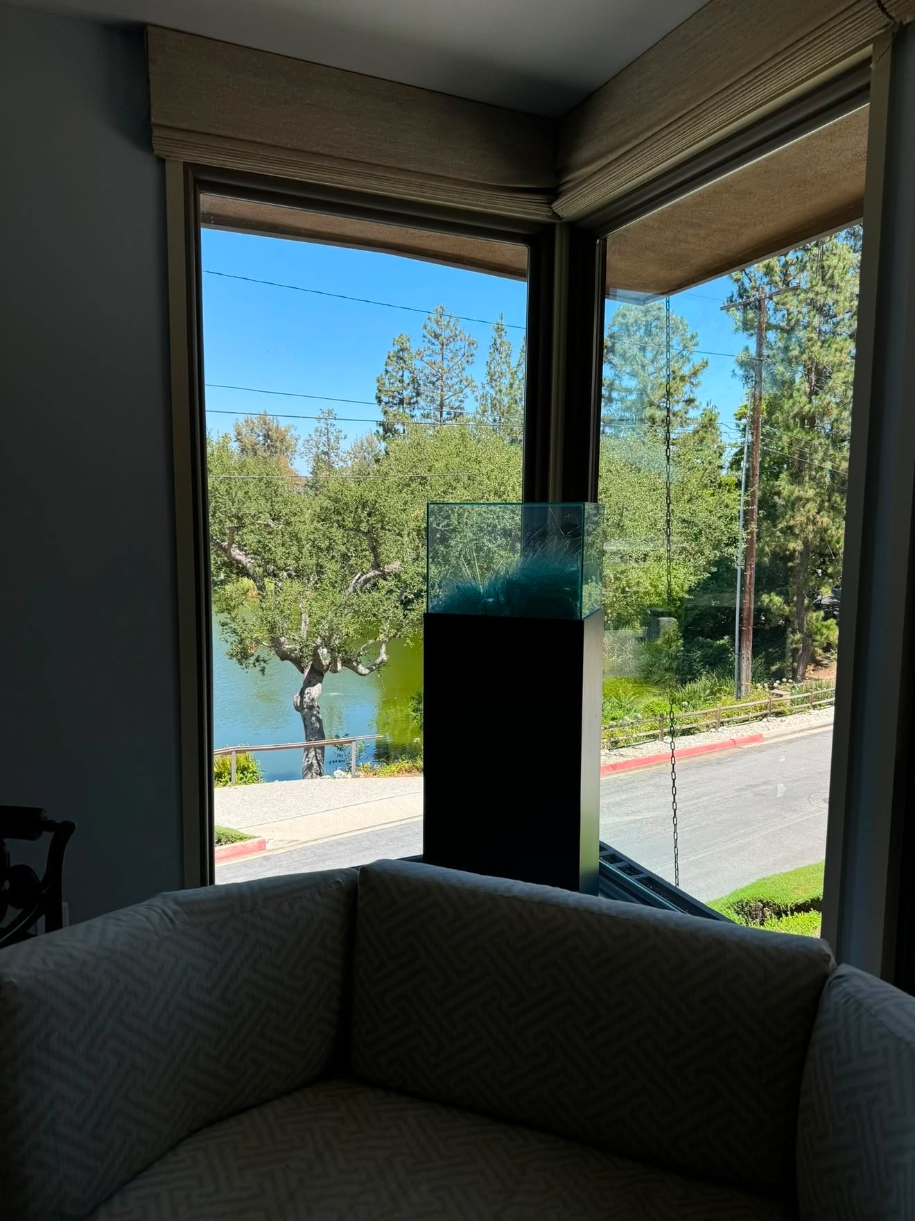 Spotless bay windows looking out over a lake and trees
