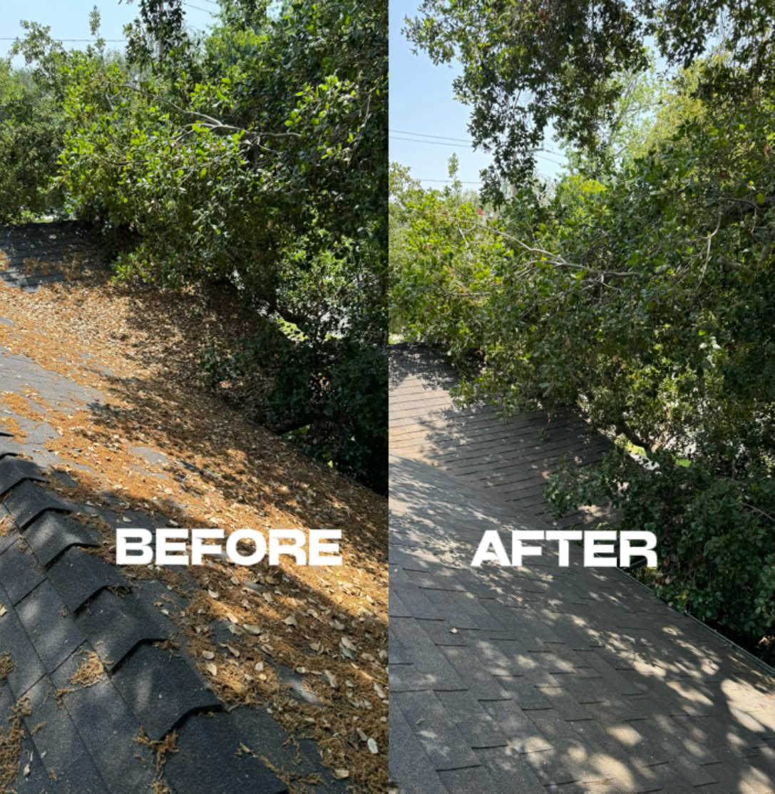 Roof and gutter debris cleared, before and after