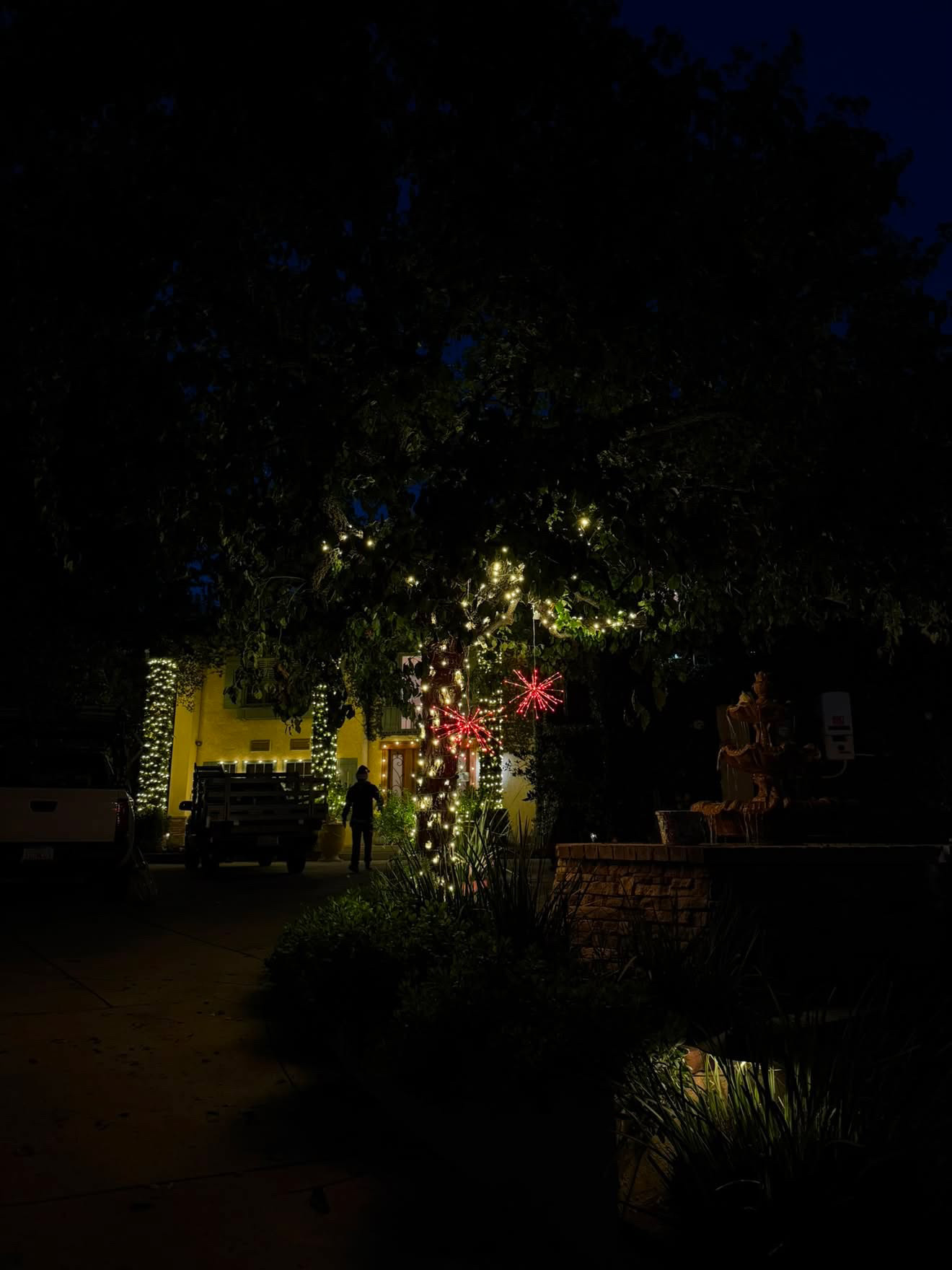 Tree wrapped in warm lights with red starburst accents and lit facade