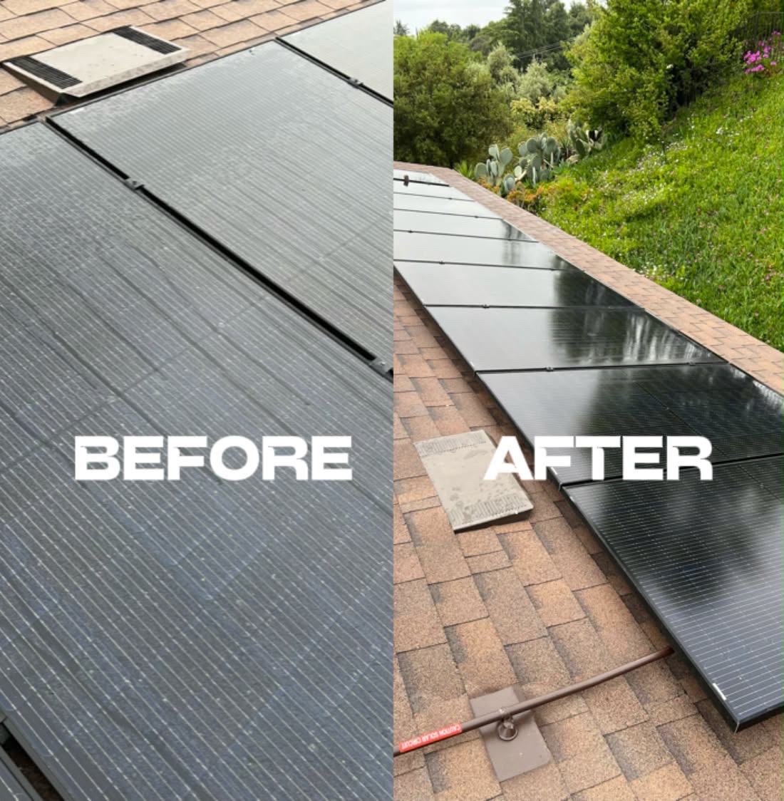 Dusty solar panels next to freshly washed panels